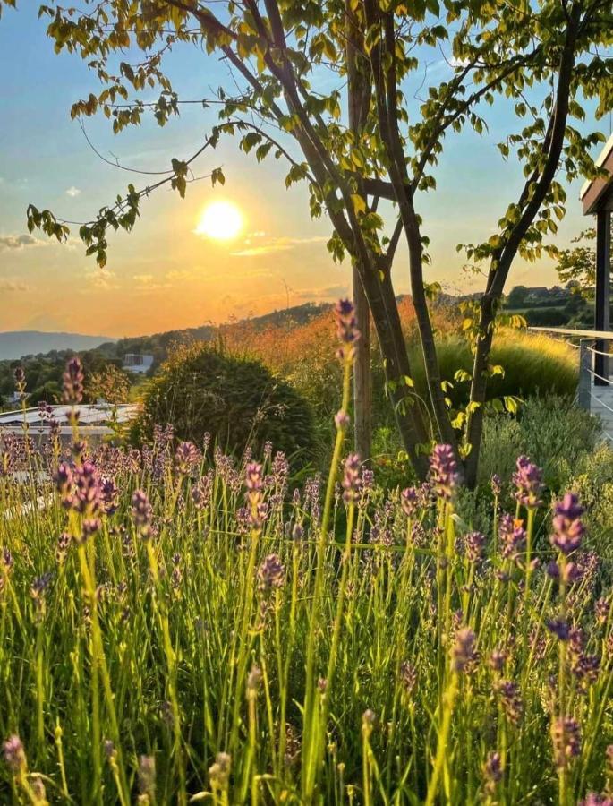 Haus Friedel 2 Daire Uberlingen Dış mekan fotoğraf